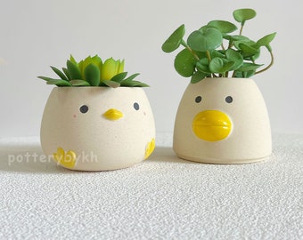 Anime Chick/Duck Planter with Drainage Hole, Cute Cartoon Succulents Pot, Mini Animal Pot for Plants, Garden Gift for her