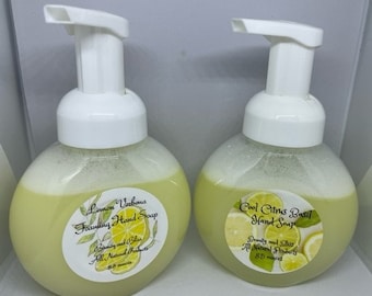 Foaming Hand Soap