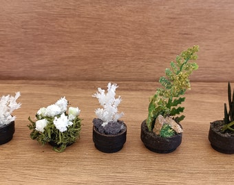 1/12 miniature plants. Dollhouses and dioramas. 5 units