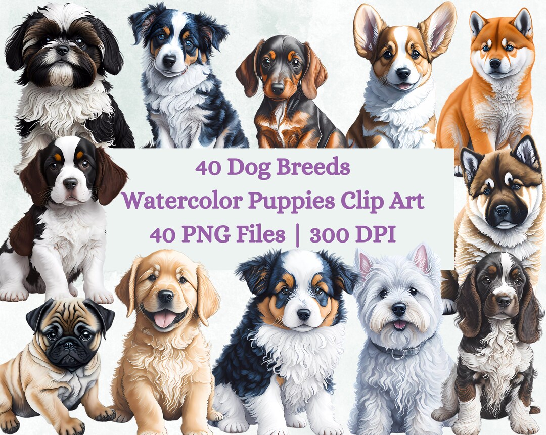 40 Dog Clipart PNG Watercolor Clipart Dog Bundle PNG Puppy - Etsy UK