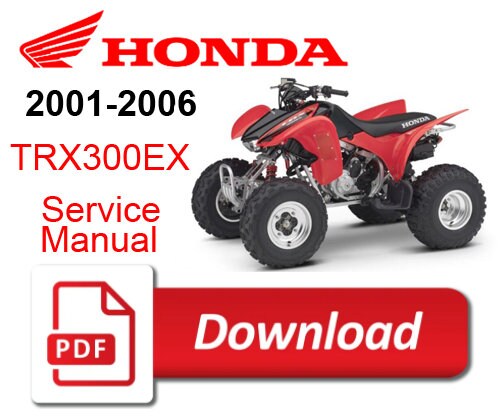 tama77401312imai369 12/15　HONDA EX300 s-l400.jpg