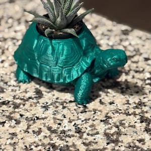 Puede incluir: Una maceta con forma de tortuga en color verde azulado metálico con un diseño de caparazón texturizado. Una pequeña planta suculenta de color verde oscuro, puntiaguda y con patrones de manchas blancas, está plantada en el centro.