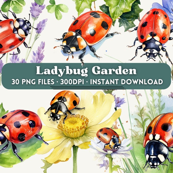 Ladybug Garden Watercolor Clipart Bundle, 30 PNGs, Lady bug and Flowers, Spring, Summer, Floral, Insect Clip Art, Ladybird, Commercial use