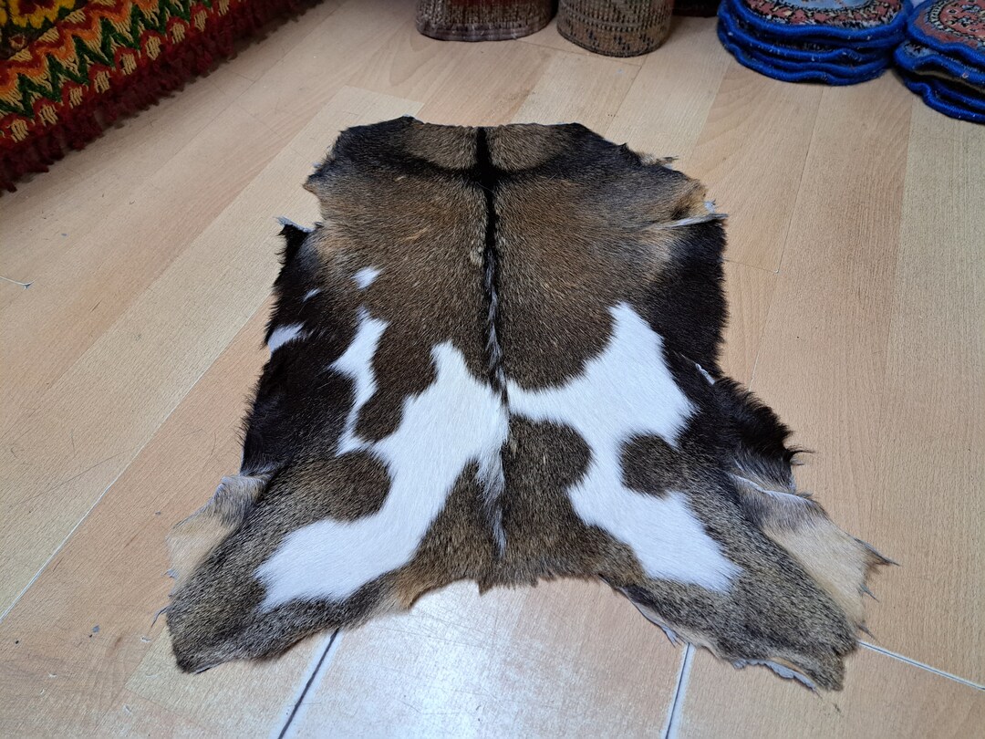 Hog Skin Rug Vintage Turkish Goat Skin Rug: Spotted Hide, Wall Decor (1.2 X 2 Ft) - Etsy