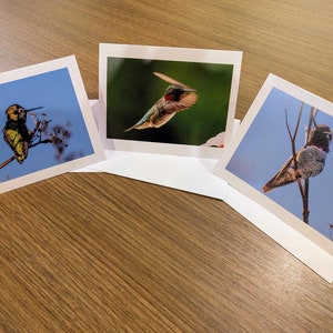 Collection de cartes Colibri Ensemble de cartes de voeux Papeterie Cadeau Oiseau d'Amérique du Nord Cadeau de Noël Cartes vierges pour les Fêtes Cadeaux pour ornithologues amateurs