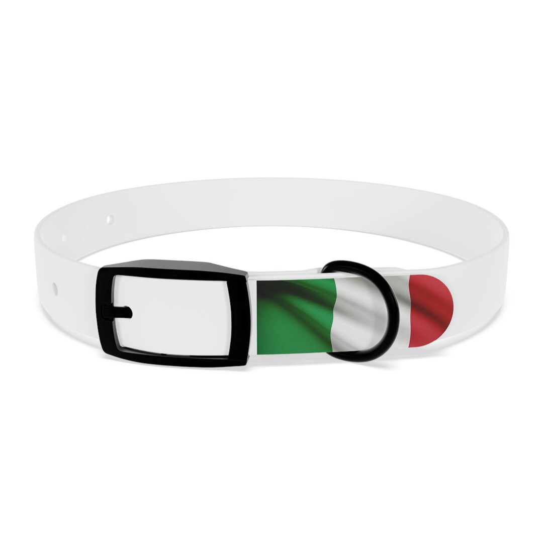 Stylish Italian Pride Italian Flag Dog Collar for Your Dog, Dog Collar