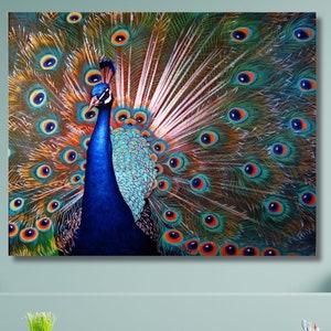 Wonderful Blue Green Peacock Canvas Wall Art/Large Canvas Painting/Peacock Poster/Peacock Print/Peacock Picture/Home Gift/Animal Print Art