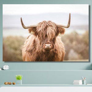 Scottish Highland Cattle Canvas Wall Art – Rustic Farmhouse Animal Print, Highland Cow Decor for Living Room, Country Home Wall Accent
