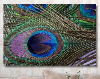 Lienzo decorativo con plumas de pavo real / Lámina decorativa de plumas de aves coloridas