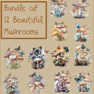 Pacote de 12 lindos clipart de cogumelos, aquarela, arte digital Ai, PNG, PDF, fundo transparente, sublimação, Dtf, DtG e muito mais