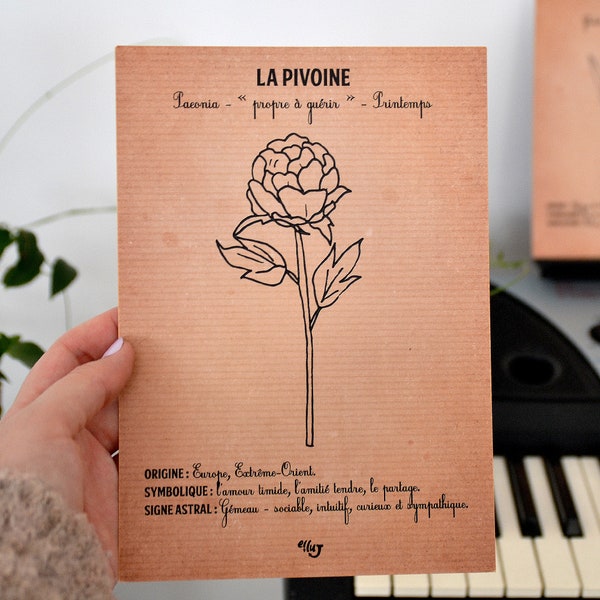 Affiche Fleur Pivoine - Gémeau