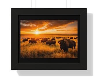 Póster horizontal enmarcado de búfalo de las Grandes Llanuras, nativo, fauna, bisonte.
