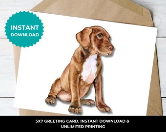 Chocolate Lab Thank You Cards I Stationary Thank You Cards I Brown Labrador Dog Note Cards I Vet Thank You I Pet Stationary I Labrador Puppy