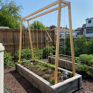 Tomato Trellis DIY Tomato Trellis System Instant Download Imperial & Metric