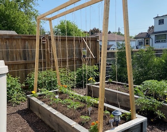 Tomato Trellis DIY Tomato Trellis System Instant Download Imperial & Metric