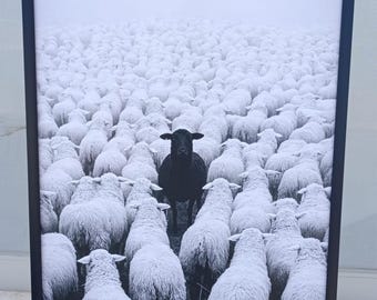Black Sheep Canvas Painting: Modern Statement Wall Art