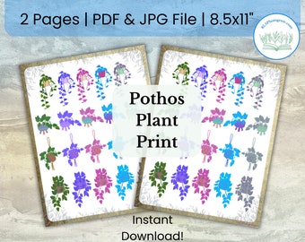 Pothos Plant Bright Coloration | Print Journal Ephemera | Botanical Leaves Art Print