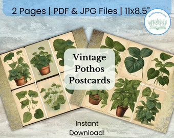 Pothos Plant Vintage Postcards Print | Indoor House Plant Scrapbook Paper | Botanical Junk Journal Ephemera