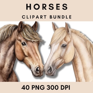 Lot de 40 cliparts cheval aquarelle, licence commerciale, clipart numérique animal PNG
