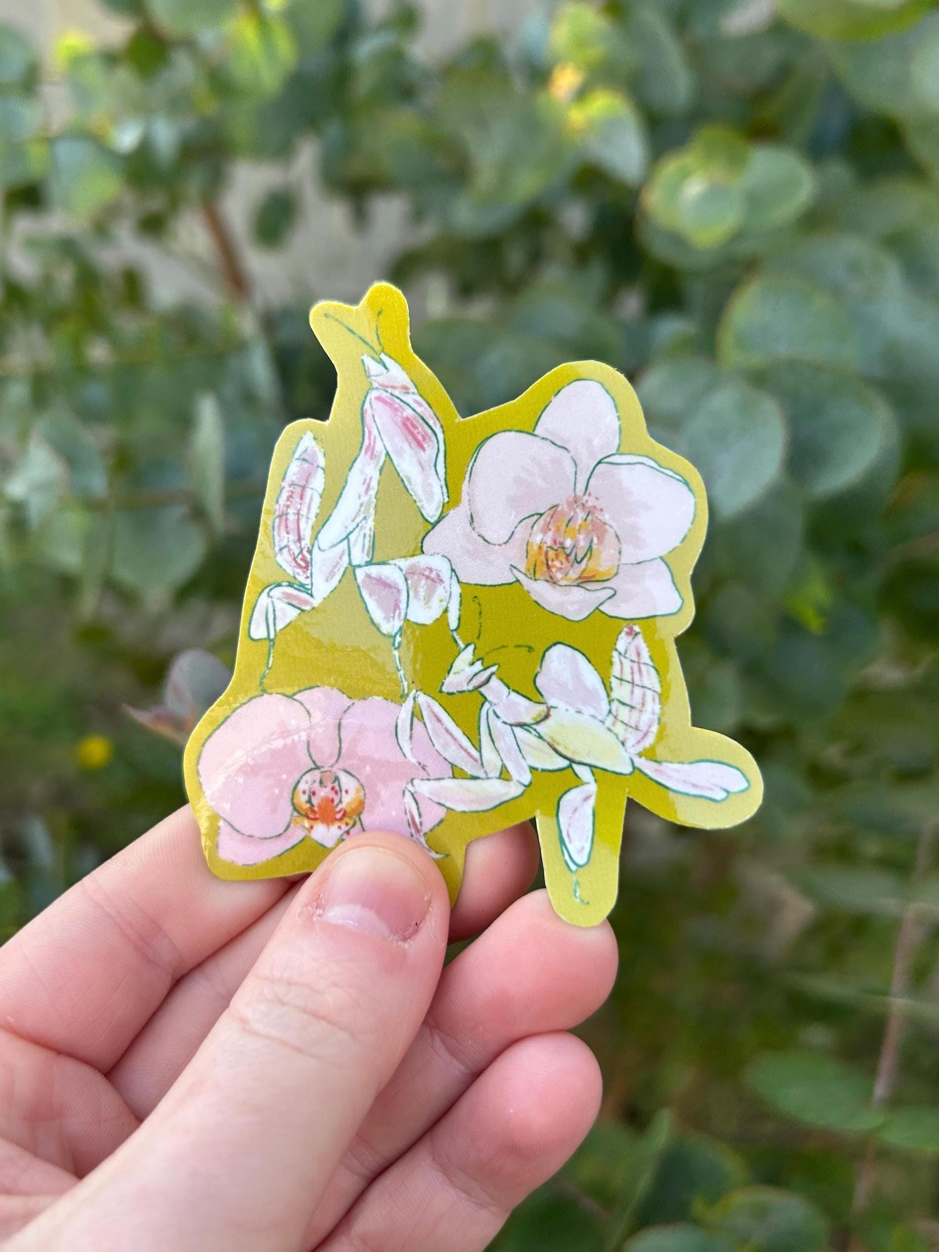 Orchid Mantis Vinyl Sticker: Animal Crossing Bug Lover Gift - Etsy