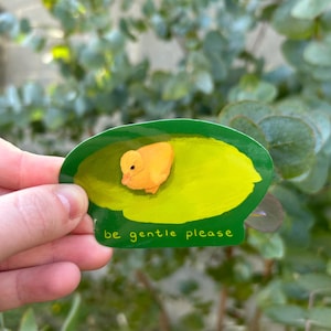 Pegatina de patito "Por favor, sé amable", amante de los patos y los pájaros, ideas para regalar en un diario