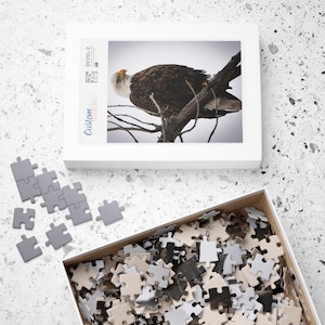 Casse-tête pygargue à tête blanche, casse-tête aigle, casse-tête de photographie animalière, casse-tête, casse-tête oiseau de proie, casse-tête (500, 1014 pièces)