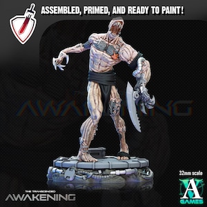 Transcended Leftovers | Miniatures by Archvillain Games | Resin Mini for Tabletop Gaming, D&D, Wargaming, Painting | Assembled and Primed