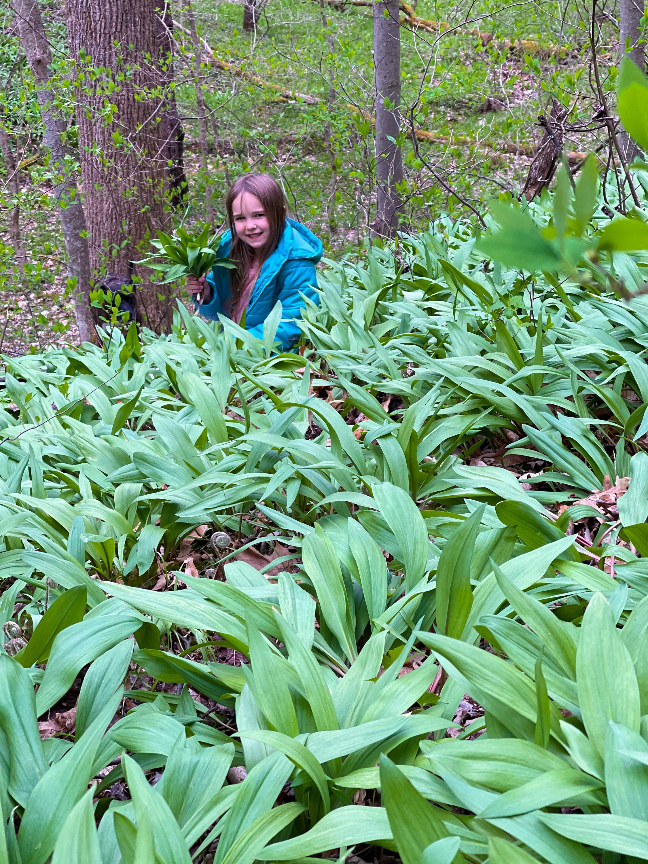 Appalachian Wild Ramp Salt Etsy