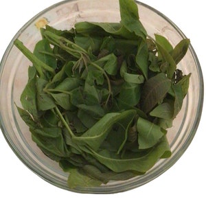 Pode incluir: Uma tigela de vidro cheia de folhas verdes frescas e 100% orgânicas.