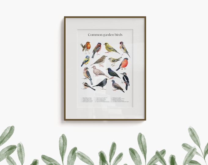 Gemeinsame Garten Vögel Poster, Vogel Beobachtung lllustration, Natur und Tier Illustration, Natur Art Print, Wissenschaftliche Identifikation