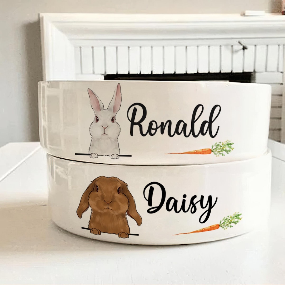 Personalized Rabbit Bowl: Custom Ceramic Bunny Food & Water Dish - Etsy
