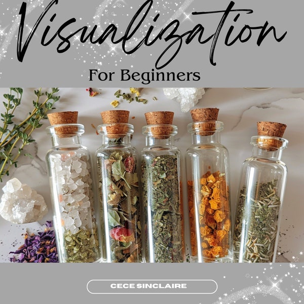 Visualization for beginners by Cece Sinclaire