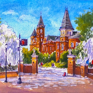 Auburn University puzzle / notecards / matted prints /  magnets.