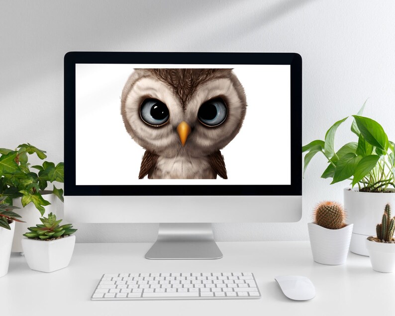 Owls Cute Baby Owl Clipart Transparent Set of 29 Owls, Instant Download