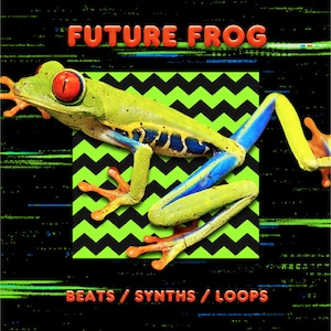 Future Frog Beats Synths Drum Loops EDM IDM Modern Pop - 24-bit WAV