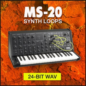 Korg MS-20 アナログシンセ リフ メロディー ループ エレクトロニカ - 24 ビット WAV