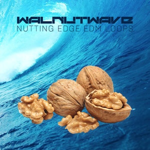 Könnte beinhalten: Nahaufnahme von mehreren Walnüssen, von denen einige ihre Schalen geknackt haben, vor einem Hintergrund aus blauen Ozeanwellen. Der Text "WALNUTWAVE NUTTING EDGE EDM LOOPS" befindet sich oben im Bild.