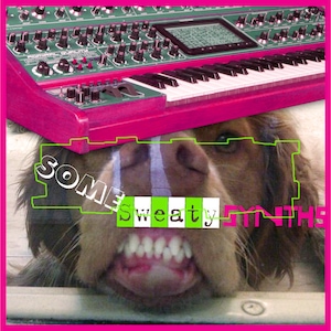 Some Sweaty Synths - EDM IDM House Music Loops - 24-Bit WAV