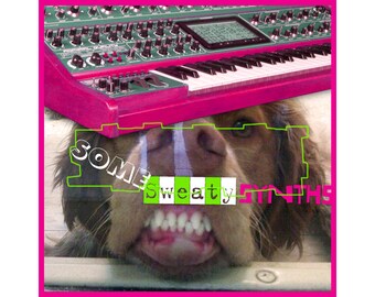 Quelques synthés en sueur - Boucles de musique maison EDM IDM - WAV 24 bits