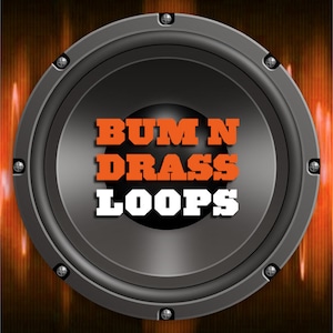Peut inclure: Un haut-parleur noir avec une bordure argentée et le texte "BUM N DRASS LOOPS" en lettres orange et blanches.