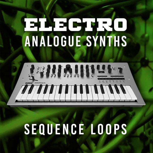 Electro EDM Analogue Synths Arp / Sequence Loops - 24-bit WAV