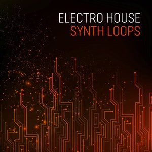 Electro Tech House Synth Loops EDM Riffs Sounds - 24-bit WAV