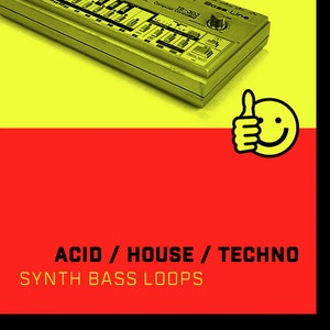 Acid House Techno EDM Synth Bass Riff Loops - 24-bit WAV