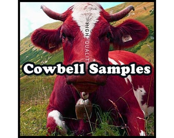 High Quality Cowbell Drum Samples - 24-bit WAV - Acoustic & Synthetic Percussion