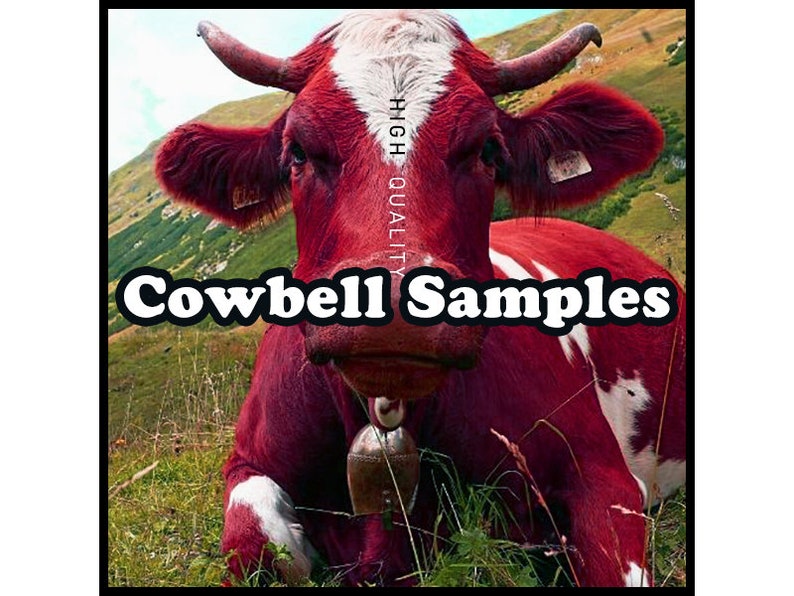 High Quality Cowbell Drum Samples - 24-bit WAV - Acoustic & Synthetic ...