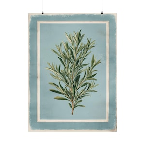 Stampa botanica di rosmarino / Illustrazione di erbe vintage / Arte di erbario antico / Decorazione con sfondo blu / Arte murale di cottage / Regalo di verde