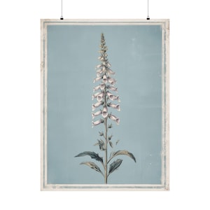 Impresión botánica de dedalera / Ilustración floral vintage / Arte de herbario antiguo / Decoración de fondo azul / Arte mural rústico / Regalo floral