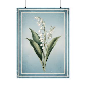Maiglöckchen botanischer Druck | Vintage Blumen Illustration | Antike Herbarum Kunst | Vintage Dekor | Cottage Wandkunst | Blumen Geschenk