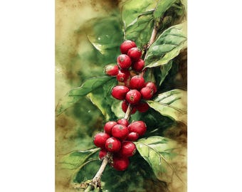 Botaniczny wydruk artystyczny z wiśnią kawową: czerwone ziarna kawy Giclée