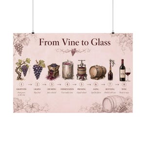 May include: A horizontal poster titled From Vine to Glass, illustrating the eight-step wine production process. It features detailed drawings of grapevines, grapes, crushing, fermentation, pressing, aging in barrels, bottling, and a glass of wine.